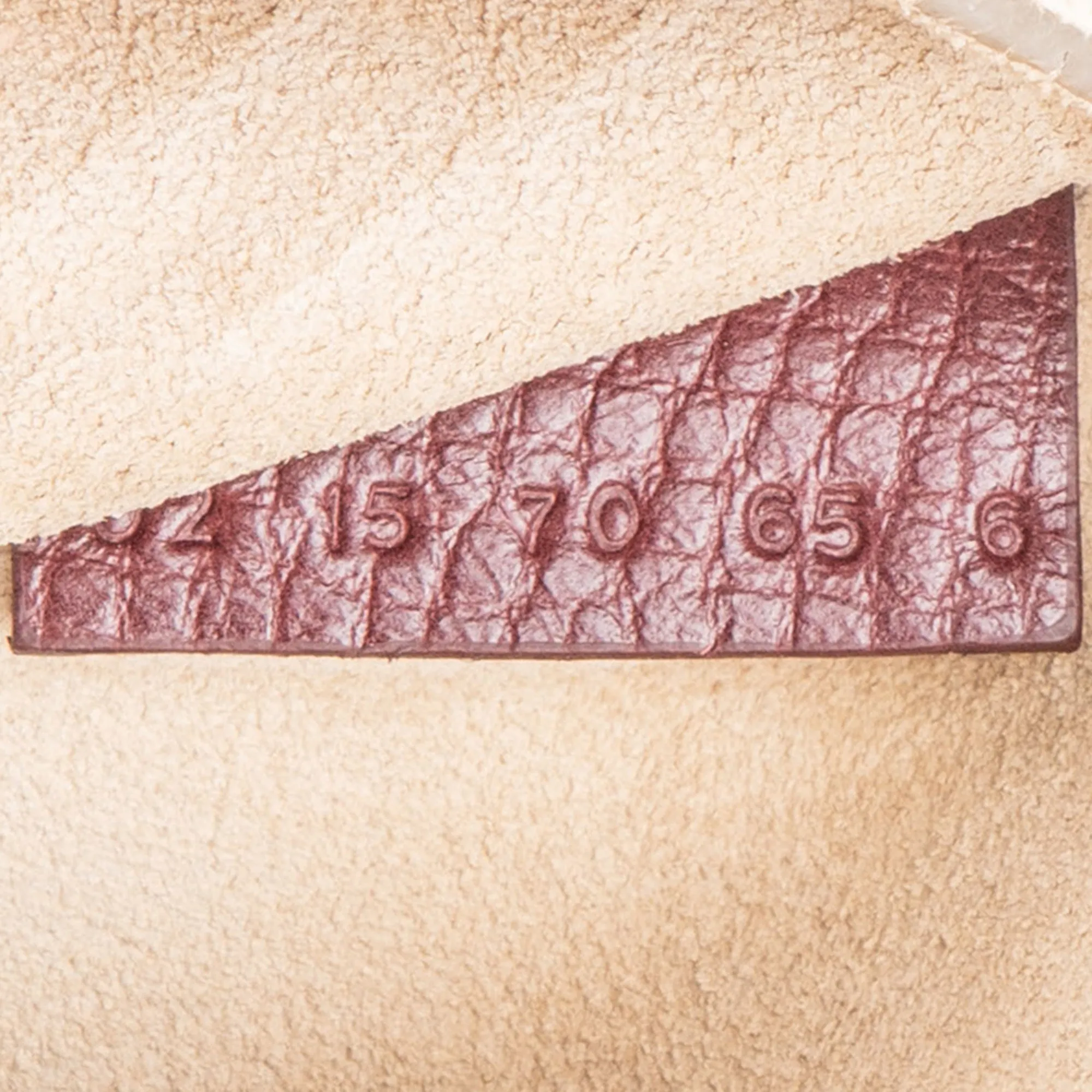 Chloe Leather Flower Printemps Drew Crossbody Bag