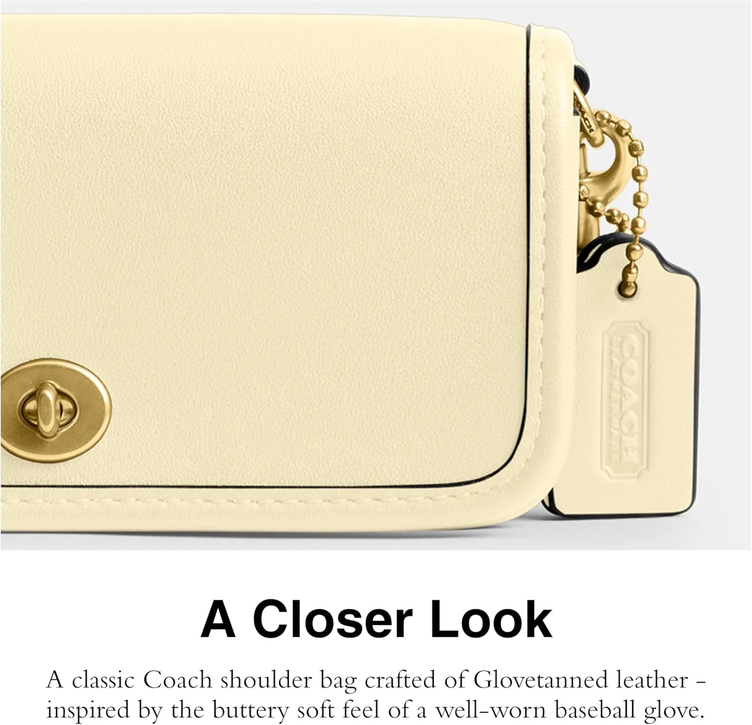 Coach Dinky Bag 14