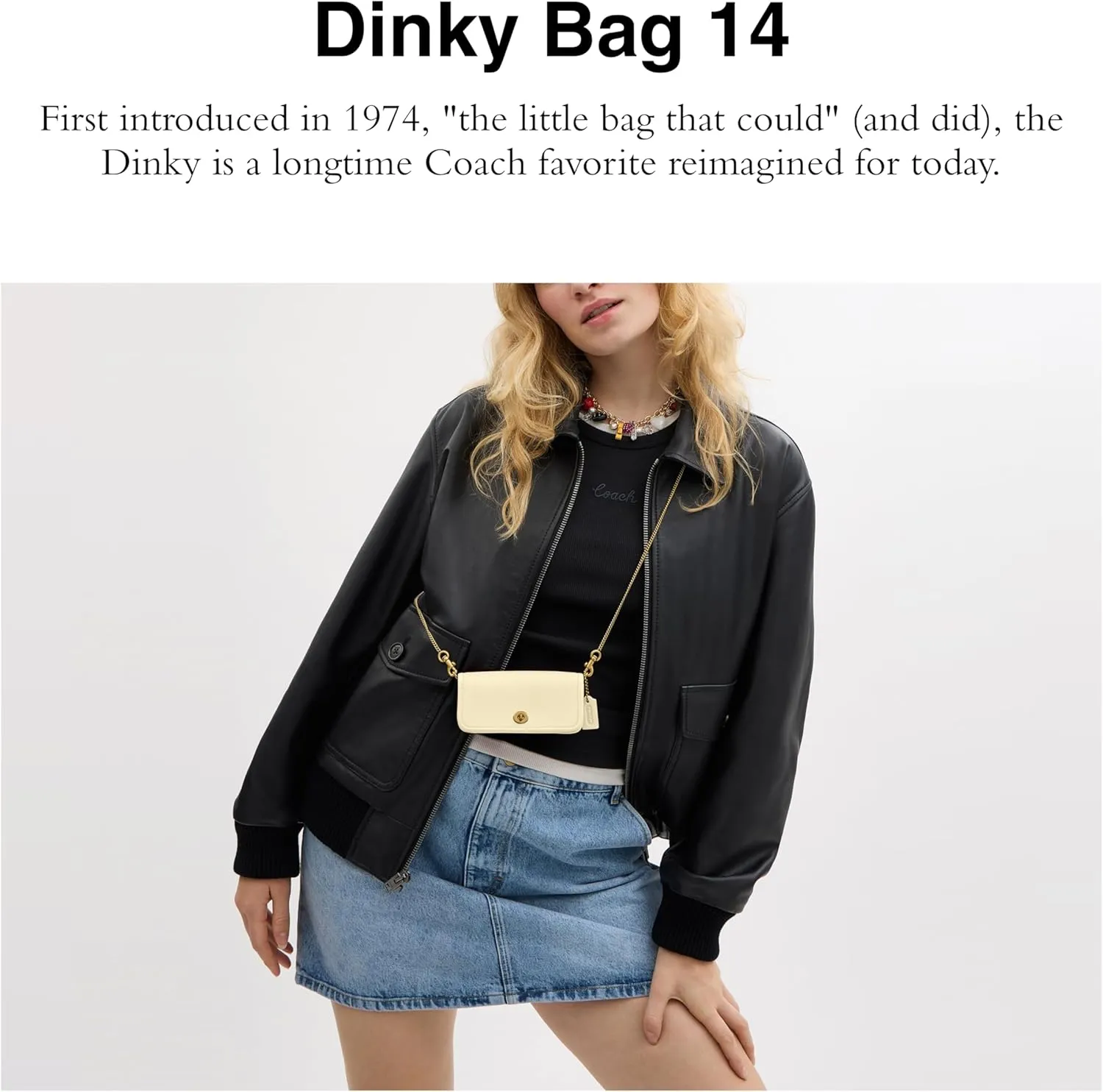 Coach Dinky Bag 14