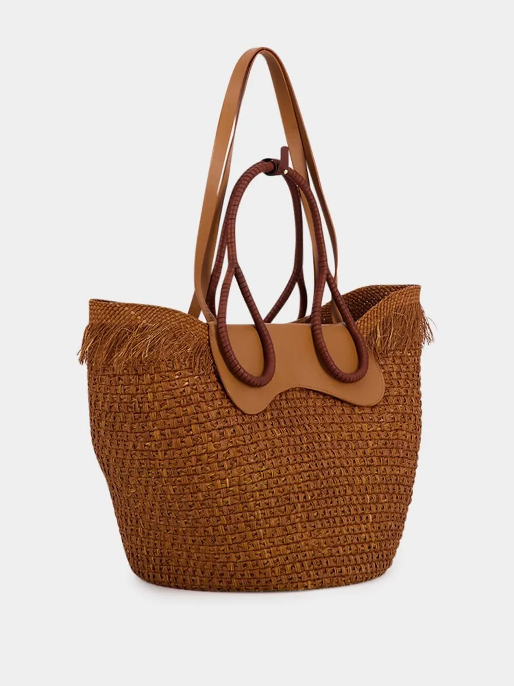 Cordillera Real Beach Bag
