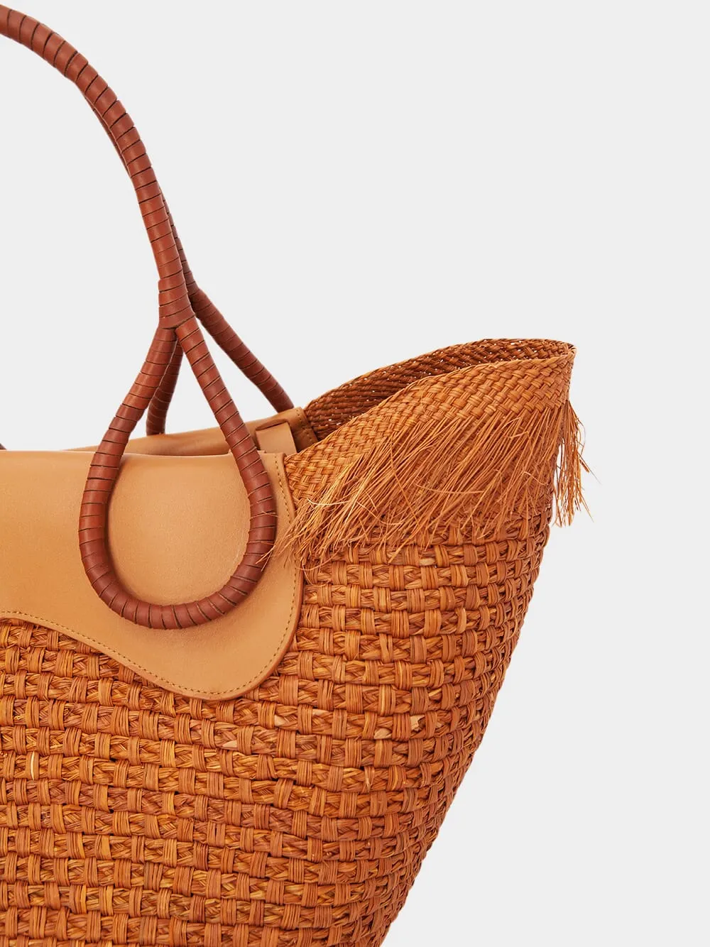 Cordillera Real Beach Bag