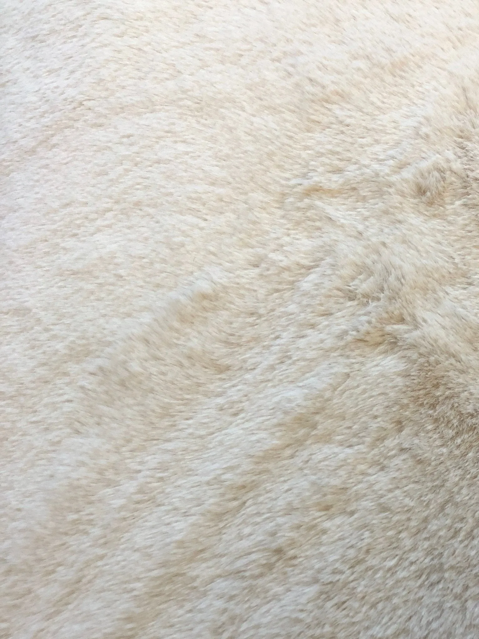 Luxury Faux Fur Fabric Cream Beige Premium Quality Material