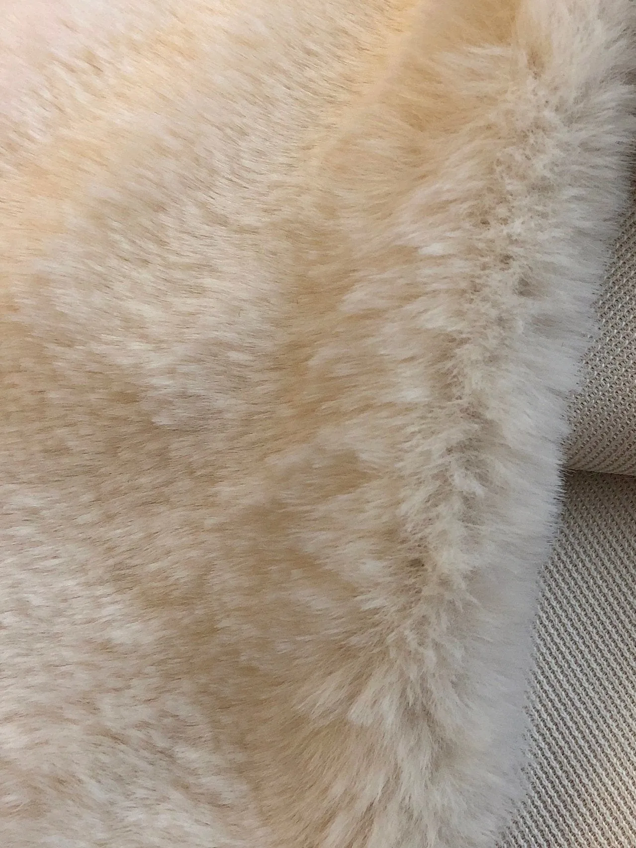 Luxury Faux Fur Fabric Cream Beige Premium Quality Material