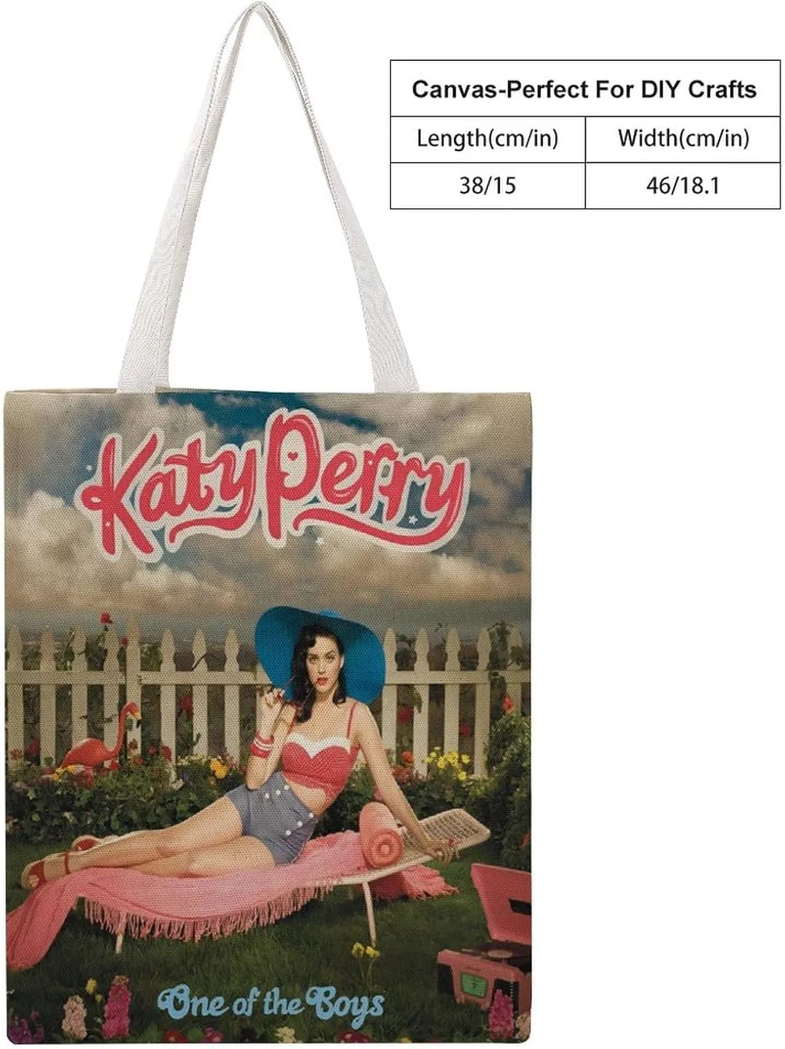 Pop Music Tote Bags, Womens Shoulder Bag, Print Travel Bag, Novelty Canvas Tote Bag Double, Funny Reusable Grocery Bag