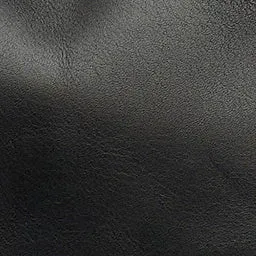 SIERRA S BAG